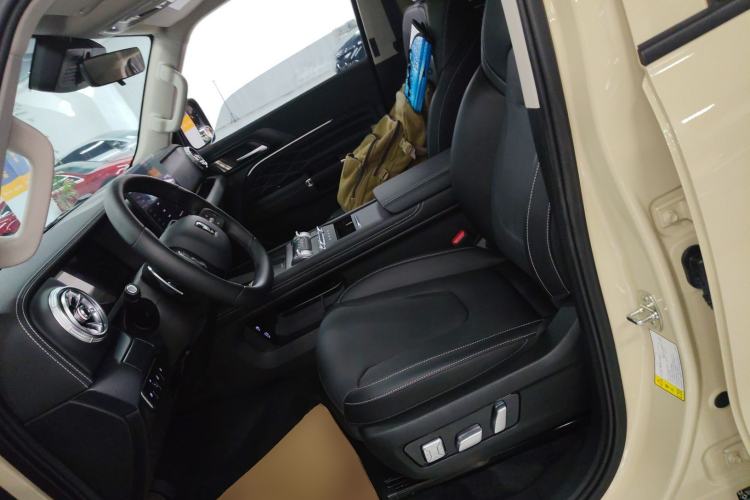 Used Tank 300 New Energy 2024 Hi4-T Left Front Seat