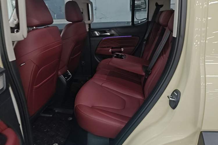 Used Tank 300 New Energy 2024 Hi4-T Left Rear Seat