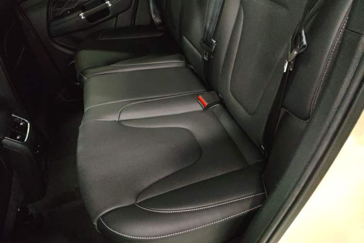 Used Tank 300 New Energy 2024 Hi4-T Left Rear Seat