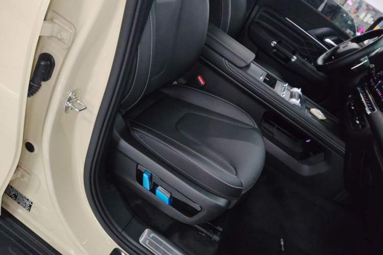Used Tank 300 New Energy 2024 Hi4-T Right Front Seat
