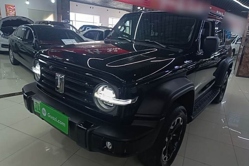 Tank 300 New Energy 2025