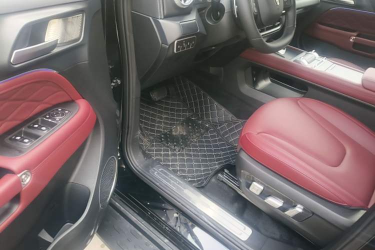 Used Tank 300 New Energy 2025 Model, Hi4-T 36.7kWh Driver Seat