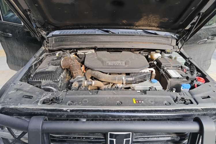 Used Tank 300 New Energy 2025 Hi4-T Engine Bay