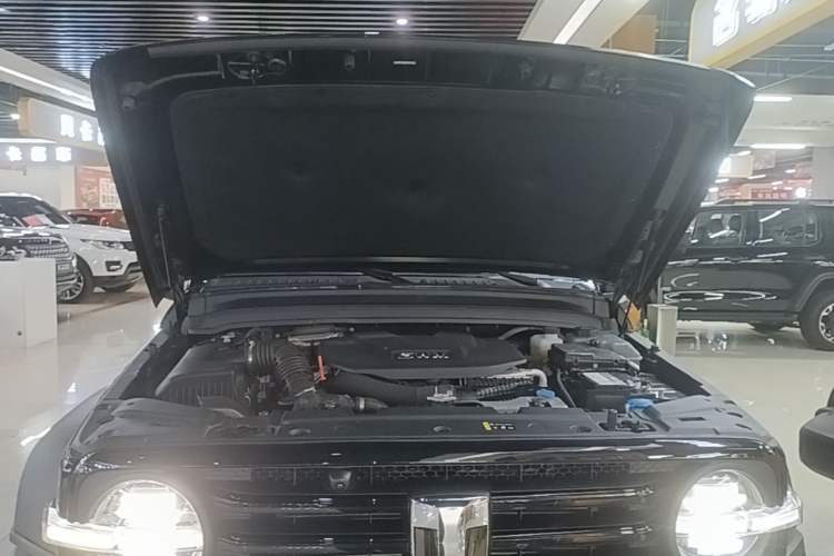 Used Tank 300 New Energy 2025 Hi4-T Engine Bay