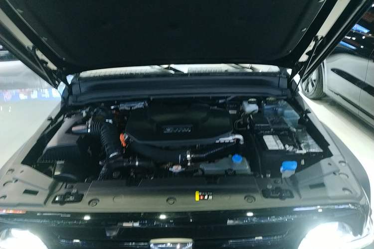 Used Tank 300 New Energy 2025 Hi4-T Engine Bay