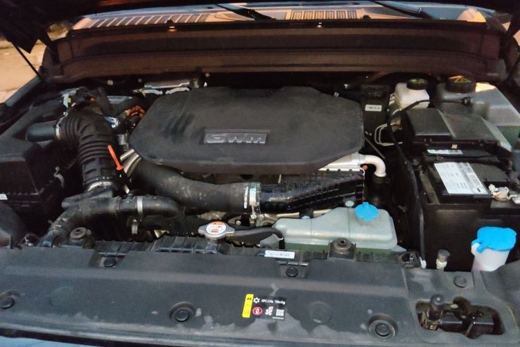 Used Tank 300 New Energy 2025 Hi4-T Engine Bay