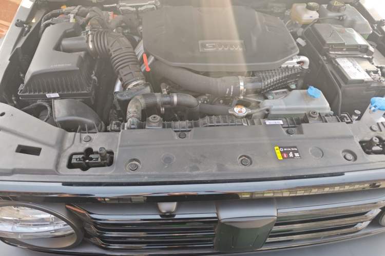 Used Tank 300 New Energy 2025 Hi4-T Engine Bay