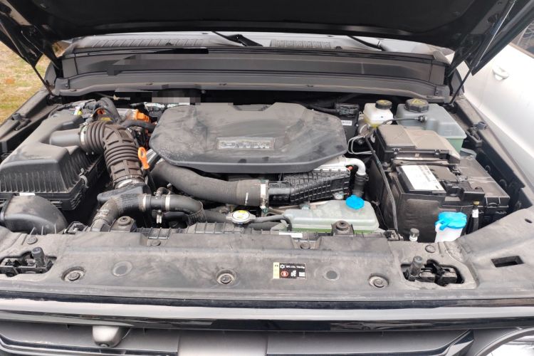 Used Tank 300 New Energy 2025 Hi4-T Engine Bay