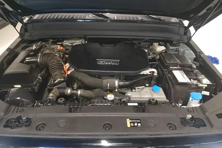 Used Tank 300 New Energy 2025 Hi4-T Engine Bay