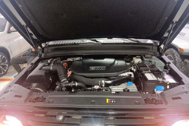 Used Tank 300 New Energy 2025 Hi4-T Engine Bay