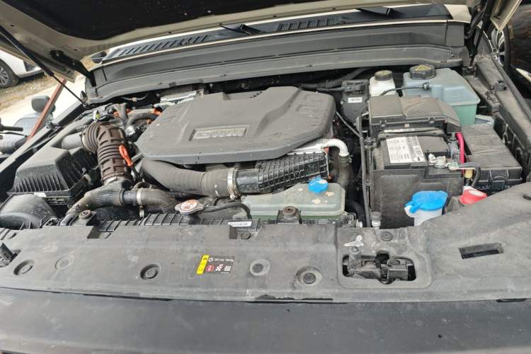 Used Tank 300 New Energy 2025 Hi4-T Engine Bay