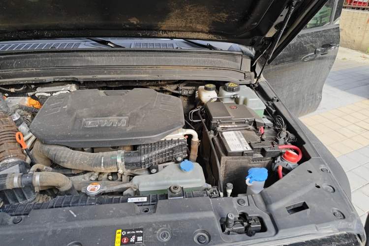 Used Tank 300 New Energy 2025 Hi4-T Engine Bay Left