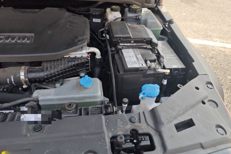 Used Tank 300 New Energy 2025 Hi4-T Engine Bay Left