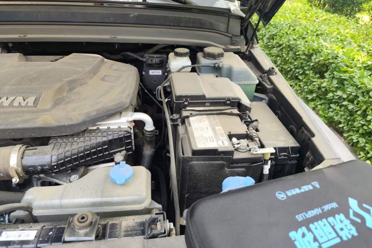 Used Tank 300 New Energy 2025 Hi4-T Engine Bay Left