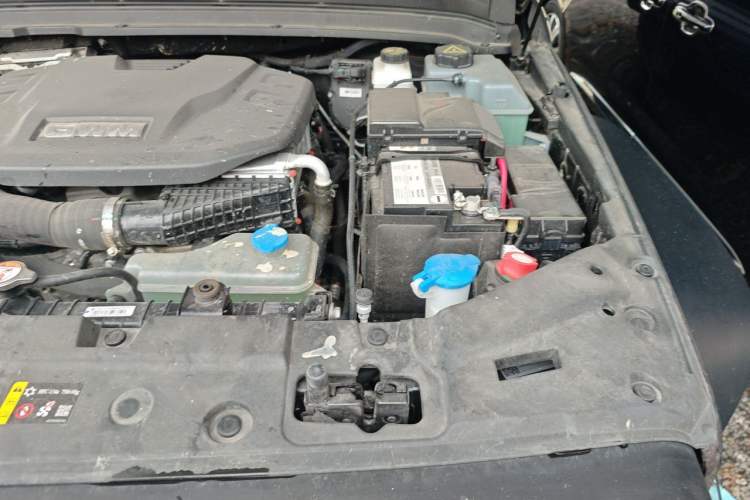Used Tank 300 New Energy 2025 Hi4-T Engine Bay Left