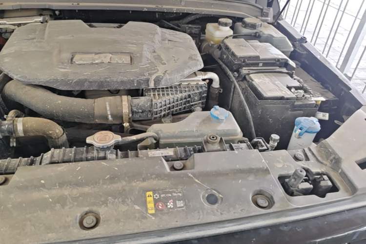 Used Tank 300 New Energy 2025 Hi4-T Engine Bay Left