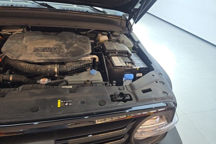 Used Tank 300 New Energy 2025 Hi4-T Engine Bay Left