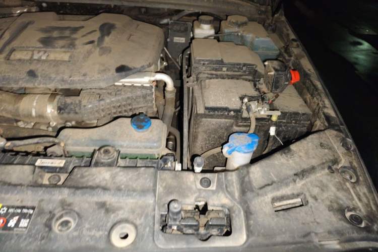 Used Tank 300 New Energy 2025 Hi4-T Engine Bay Left