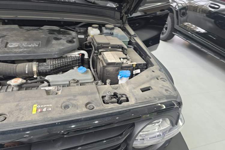 Used Tank 300 New Energy 2025 Hi4-T Engine Bay Left
