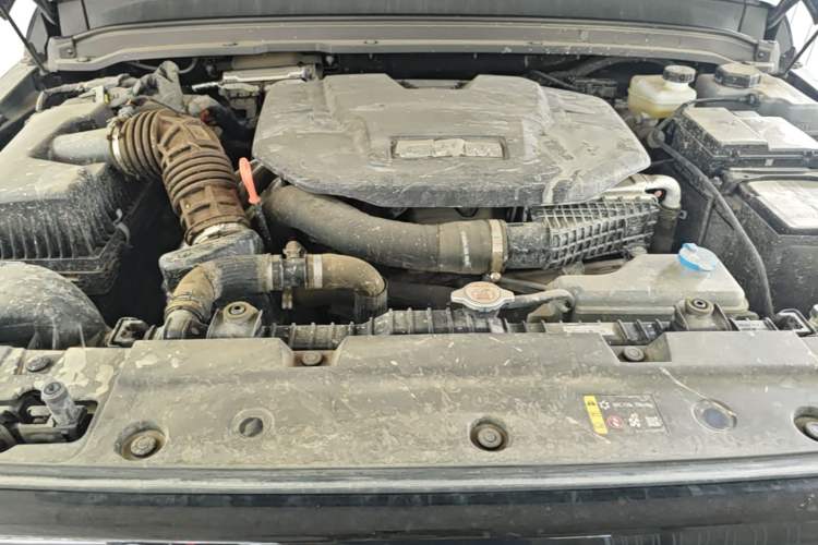 Used Tank 300 New Energy 2025 Hi4-T Engine Bay