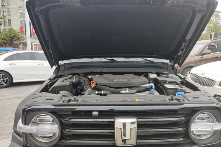 Used Tank 300 New Energy 2025 Model, Hi4-T 36.7kWh Engine Bay