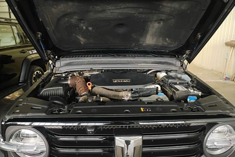 Used Tank 300 New Energy 2025 Hi4-T Engine Bay
