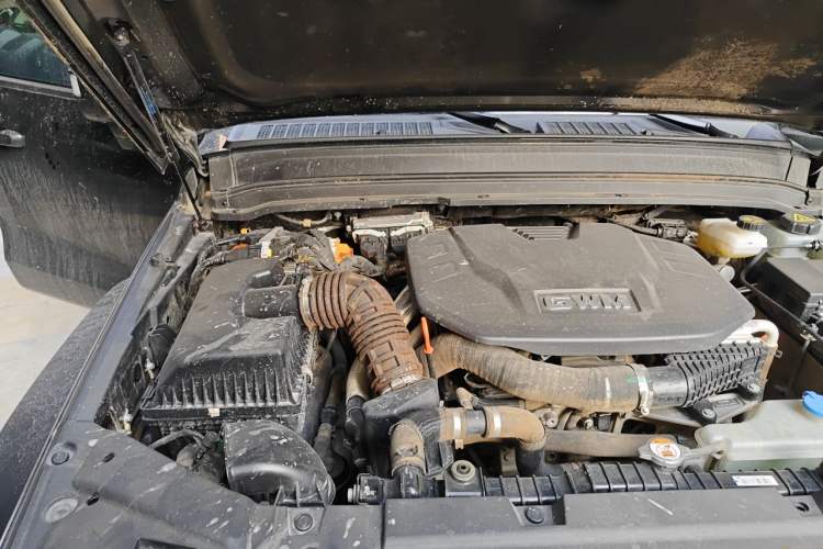 Used Tank 300 New Energy 2025 Hi4-T Engine Bay Right