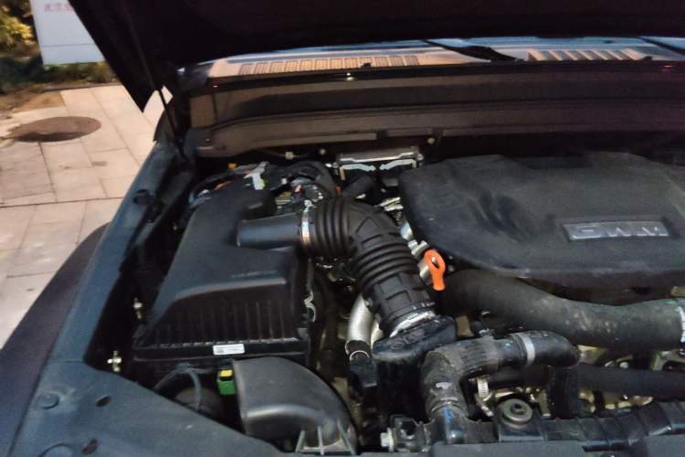 Used Tank 300 New Energy 2025 Hi4-T Engine Bay Right