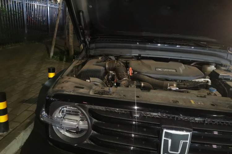 Used Tank 300 New Energy 2025 Hi4-T Engine Bay Right