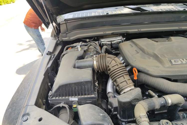 Used Tank 300 New Energy 2025 Hi4-T Engine Bay Right