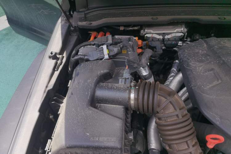 Used Tank 300 New Energy 2025 Hi4-T Engine Bay Right