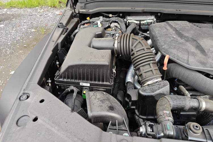 Used Tank 300 New Energy 2025 Hi4-T Engine Bay Right