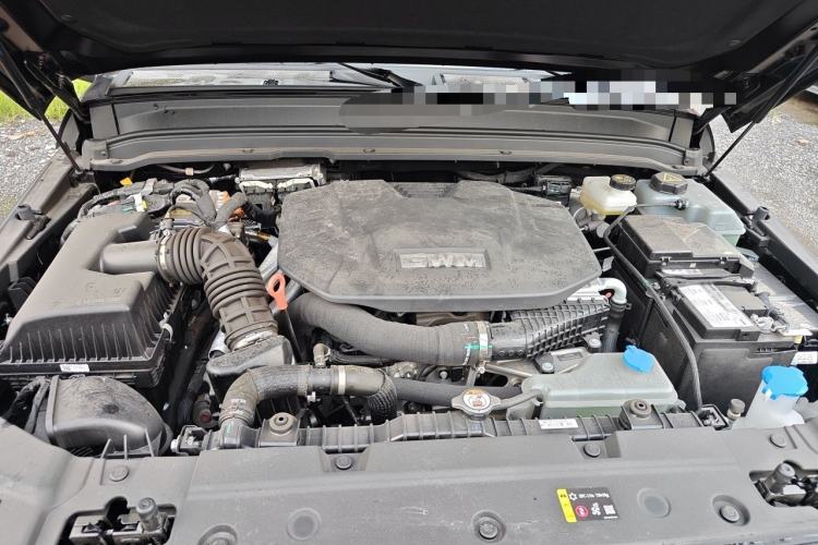 Used Tank 300 New Energy 2025 Hi4-T Engine Bay