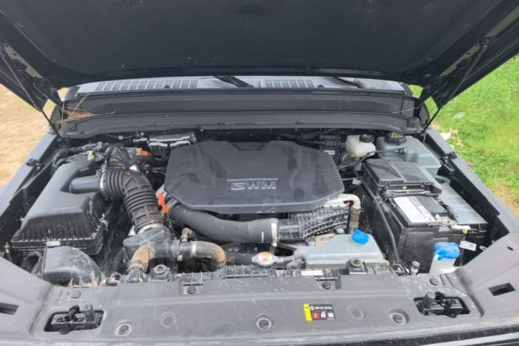 Used Tank 300 New Energy 2025 Hi4-T Engine Bay