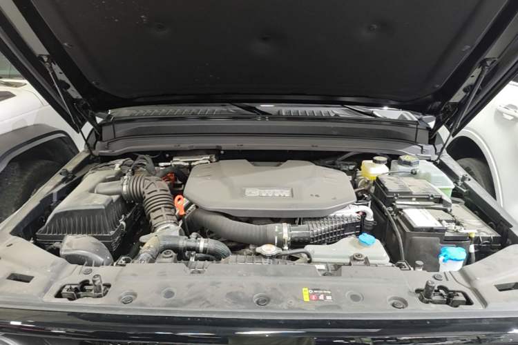 Used Tank 300 New Energy 2025 Hi4-T Engine Bay
