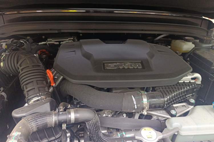 Used Tank 300 New Energy 2025 Hi4-T Engine Bay