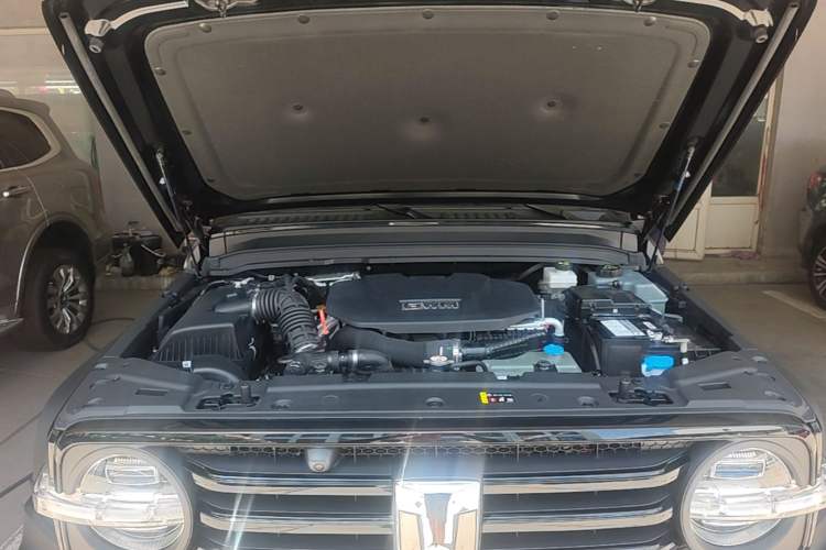 Used Tank 300 New Energy 2025 Model, Hi4-T 36.7kWh Engine Bay
