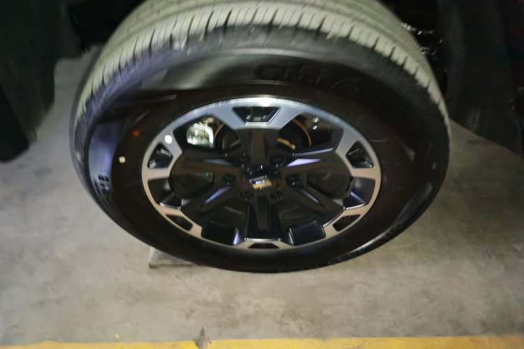 Used Tank 300 New Energy 2025 Hi4-T Exterior 8