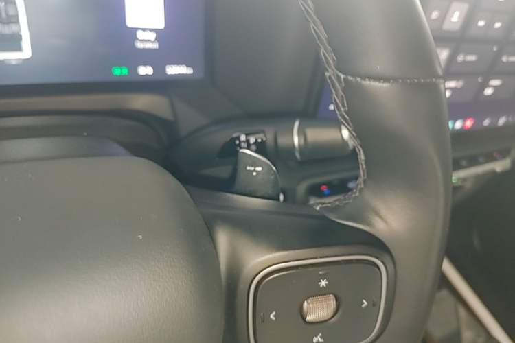 Used Tank 300 New Energy 2025 Hi4-T Gear Lever