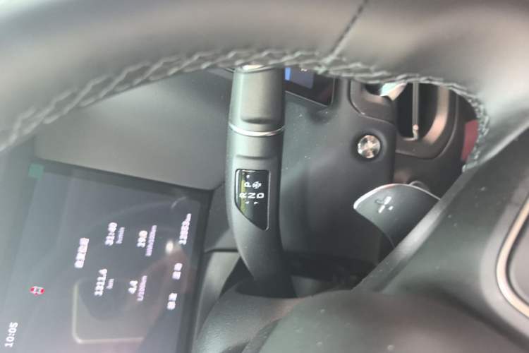 Used Tank 300 New Energy 2025 Hi4-T Gear Lever