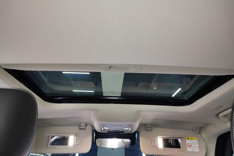 Used Tank 300 New Energy 2025 Hi4-T Headliner