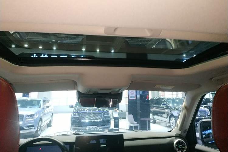 Used Tank 300 New Energy 2025 Hi4-T Headliner