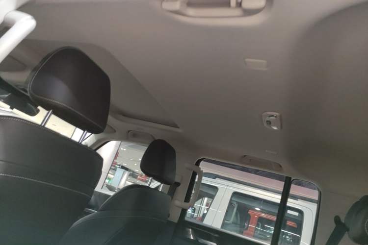 Used Tank 300 New Energy 2025 Hi4-T Headliner