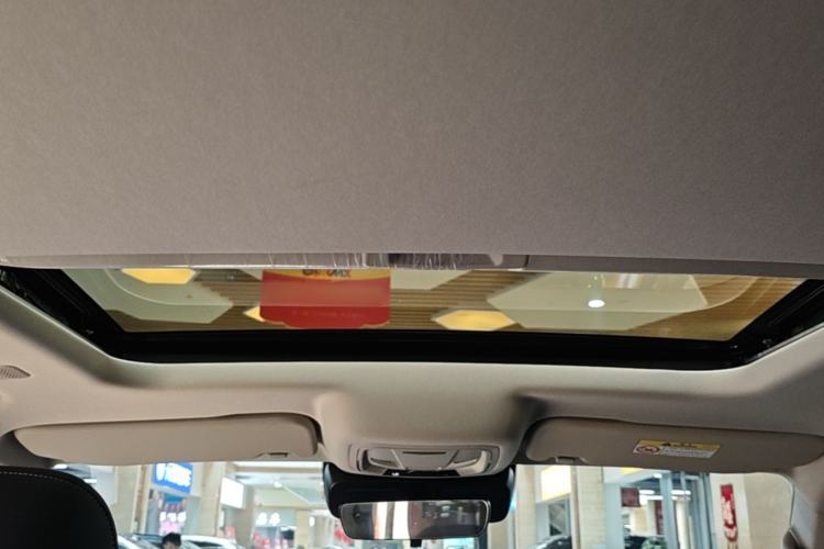 Used Tank 300 New Energy 2025 Hi4-T Headliner