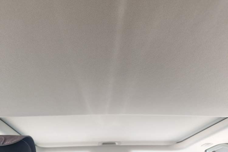 Used Tank 300 New Energy 2025 Hi4-T Headliner