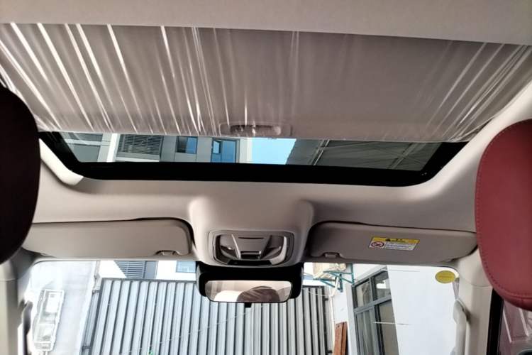 Used Tank 300 New Energy 2025 Hi4-T Headliner