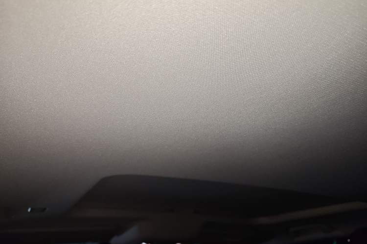 Used Tank 300 New Energy 2025 Hi4-T Headliner