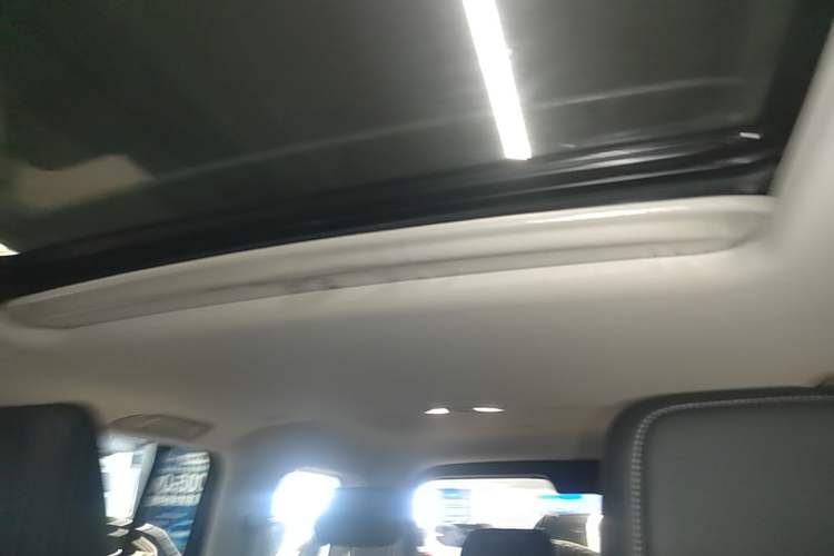 Used Tank 300 New Energy 2025 Hi4-T Headliner