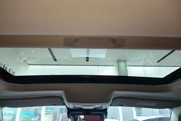Used Tank 300 New Energy 2025 Hi4-T Headliner