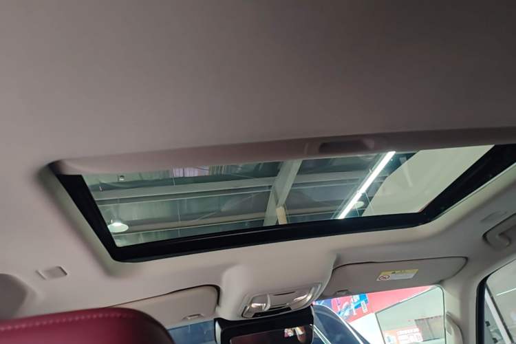Used Tank 300 New Energy 2025 Hi4-T Headliner